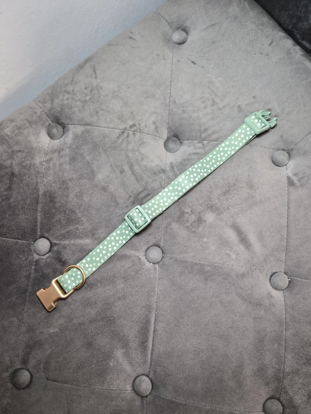 Adjustable Mint Green Polka Dot Dog Collar with Gold Hardware
